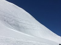 IMG 2647