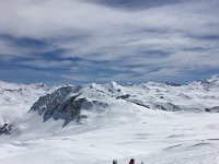 IMG 2655